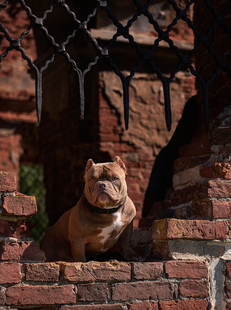 Фотография автора Ольга Фомичева