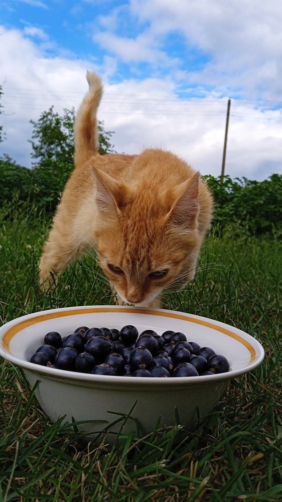 Photograph by Екатерина Щербина