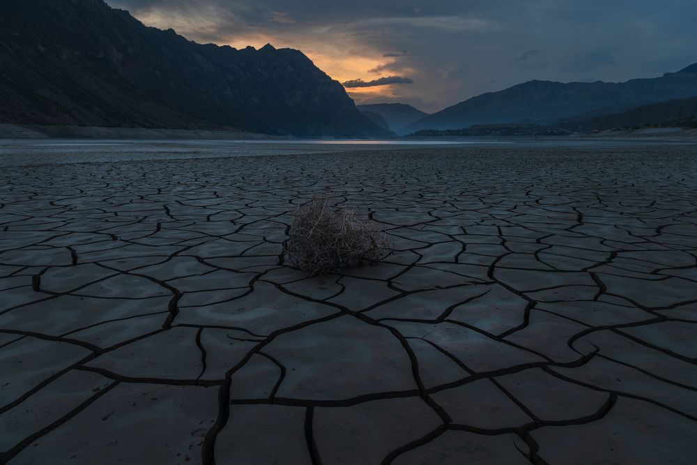 Photograph by Крицак Ольга