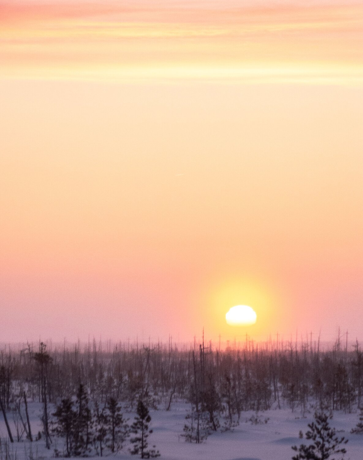 Photo #10407019