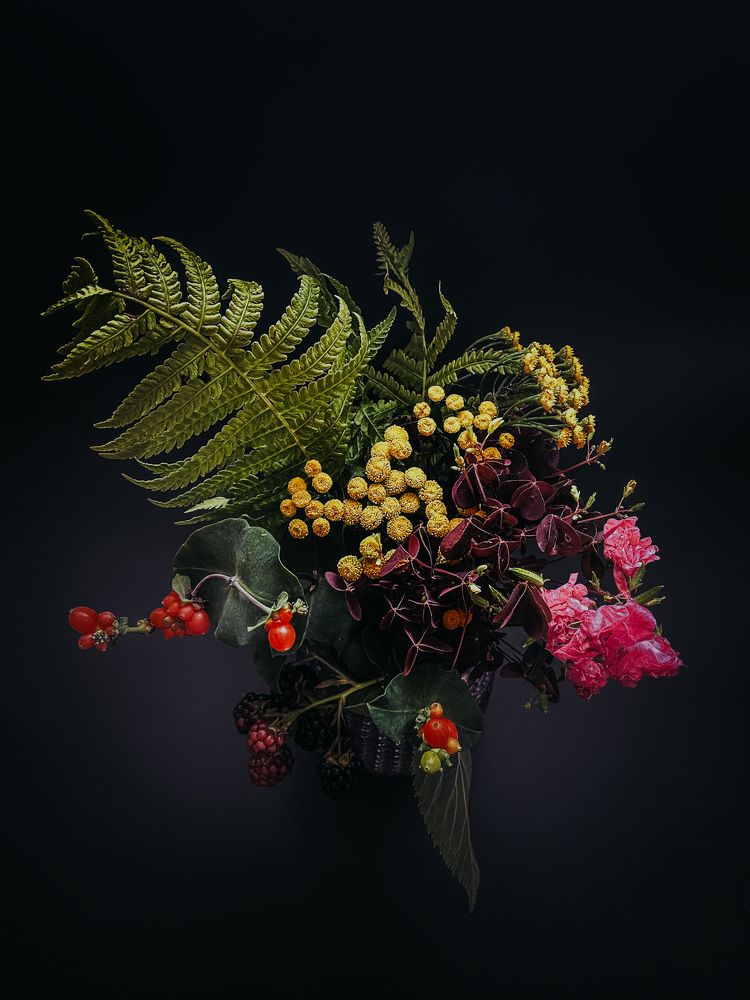 Photograph by Людмила Казак