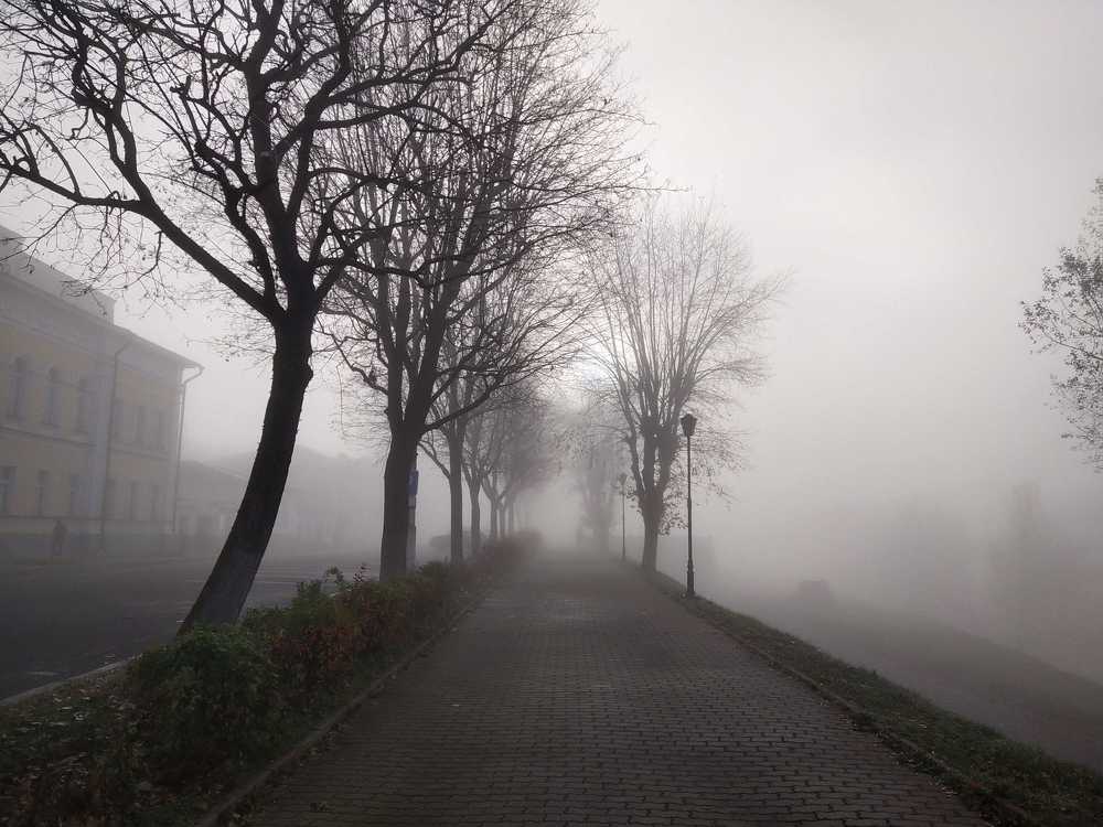Утро