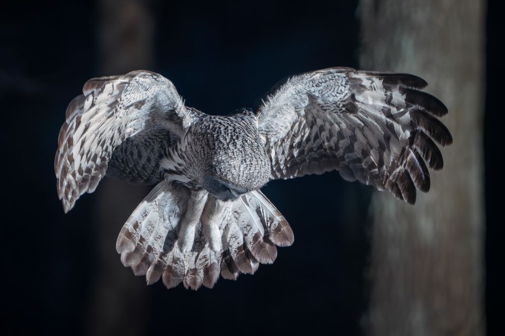 Фотография автора Владимир Коровяковский