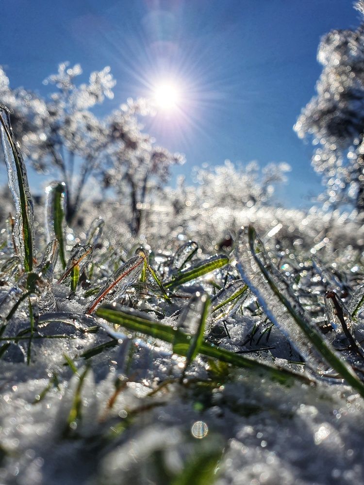 Photograph by Александра Ворона