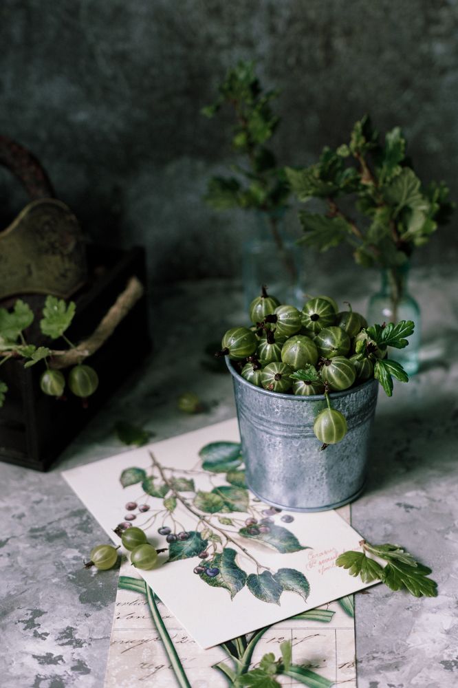 Photograph by Natalia Timary