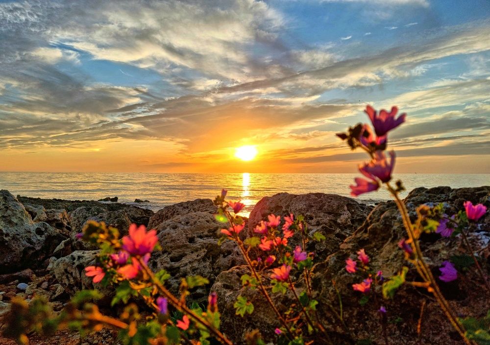 Photograph by Евгений Фесенко