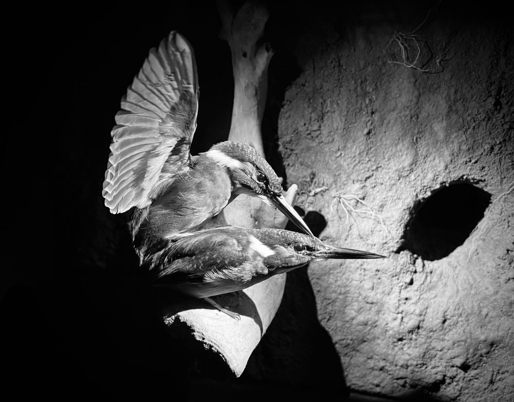 Photograph by Radek Holy