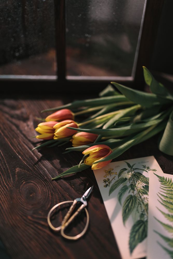 Photograph by Natalia Timary