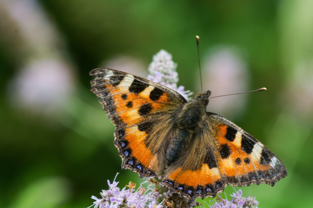 Photograph by Сергей Козлов