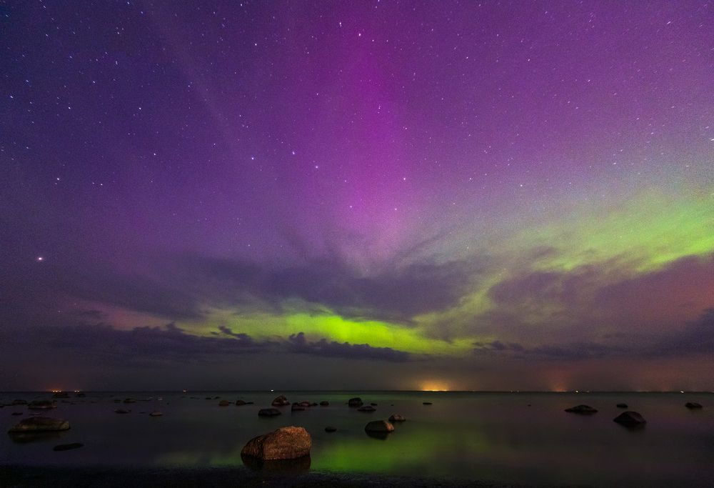 Photograph by Крицак Ольга