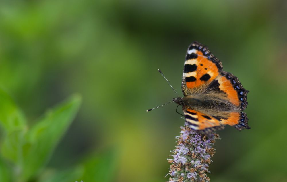 Photograph by Сергей Козлов