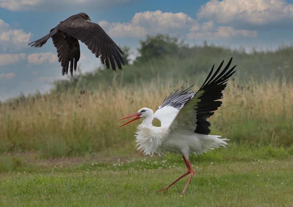 Фотография автора MARIA KULA
