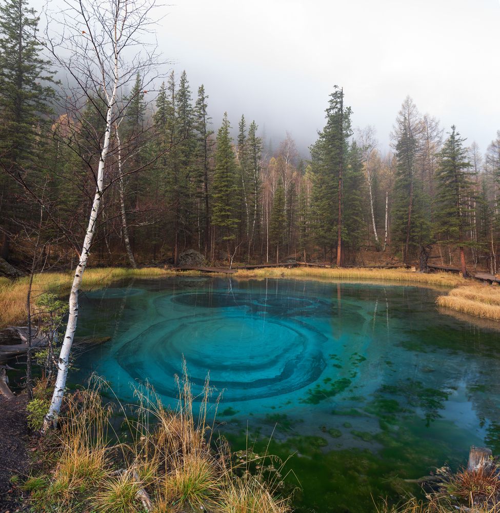 Photograph by Крицак Ольга