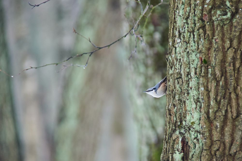 Photograph by Алексей Крылов