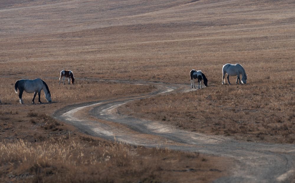 Photograph by Крицак Ольга