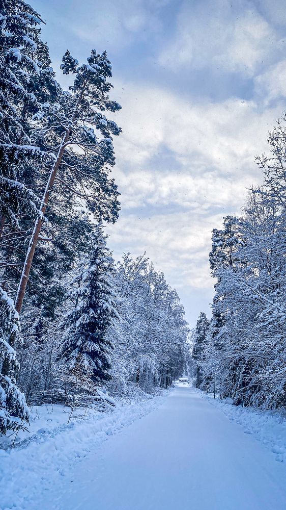 Photograph by Anna Sindikayeva