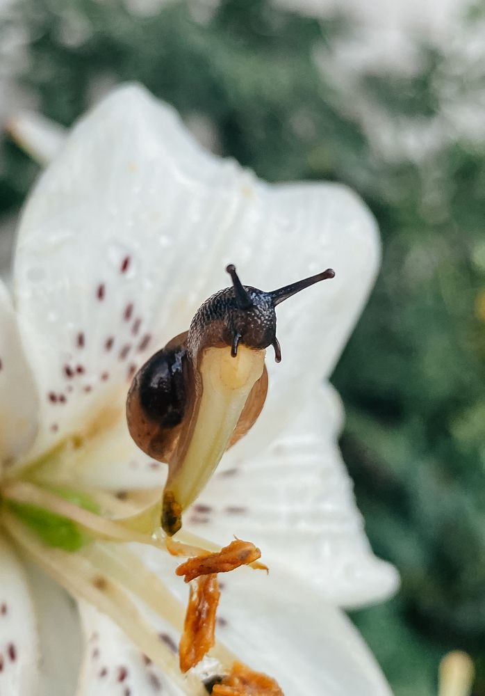 Photograph by Anna Sindikayeva