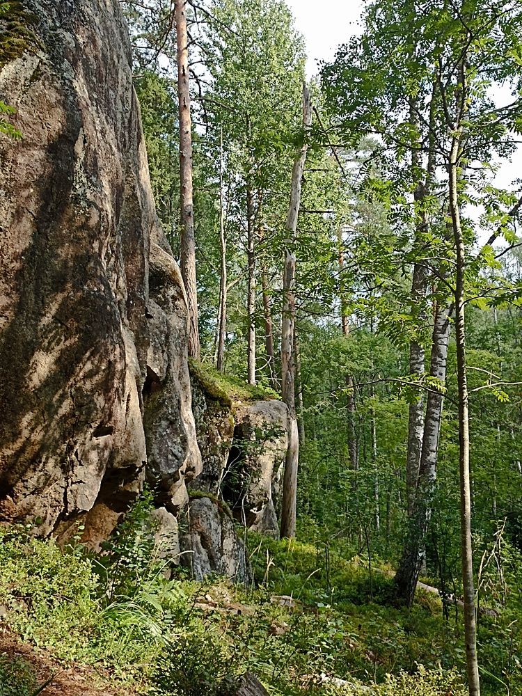 Photograph by Наталья Резванова