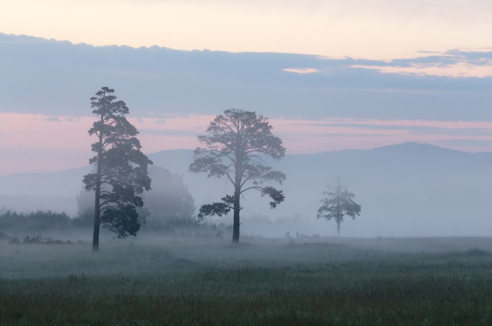 Фотография автора Николай Цветков