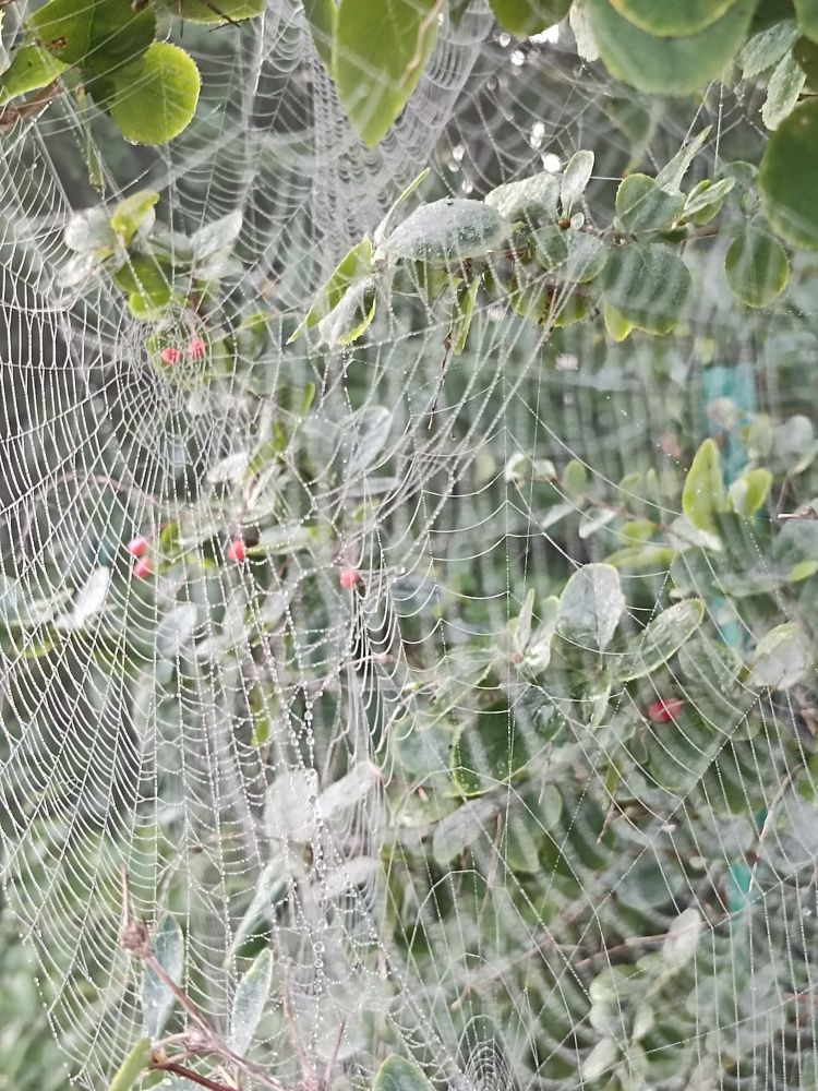 Photograph by Наталья Резванова