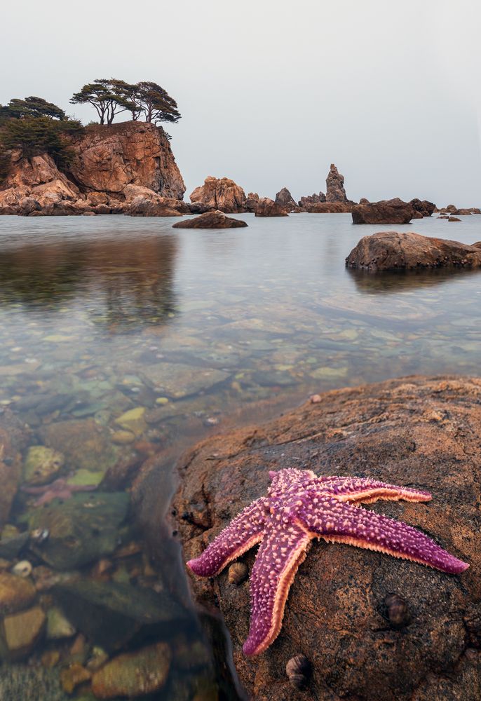 Photograph by Крицак Ольга