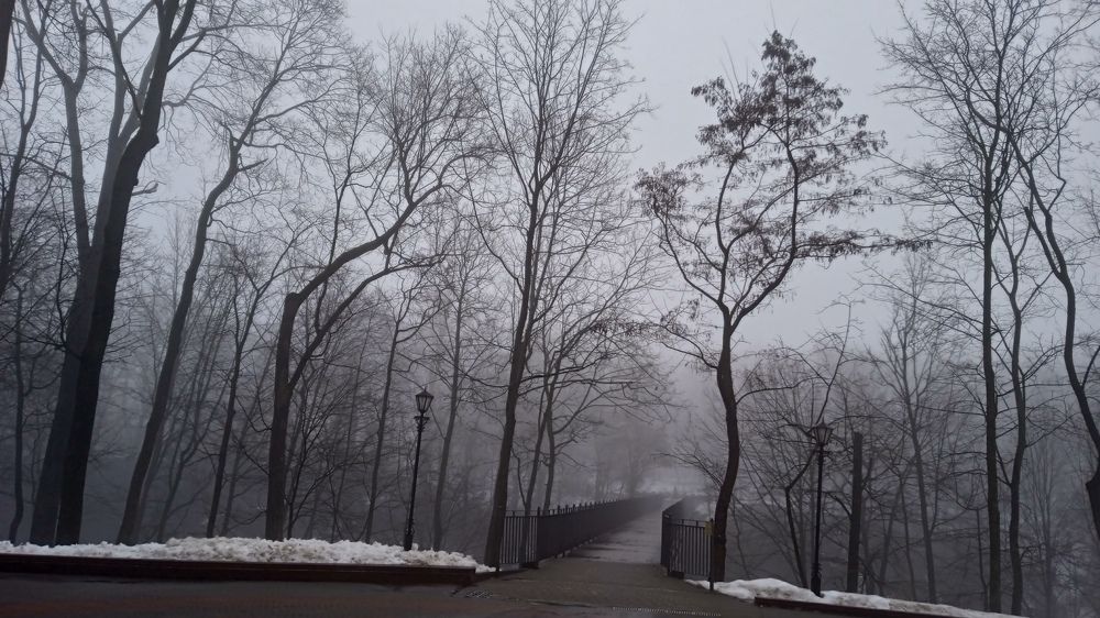 Photograph by Екатерина Щербина