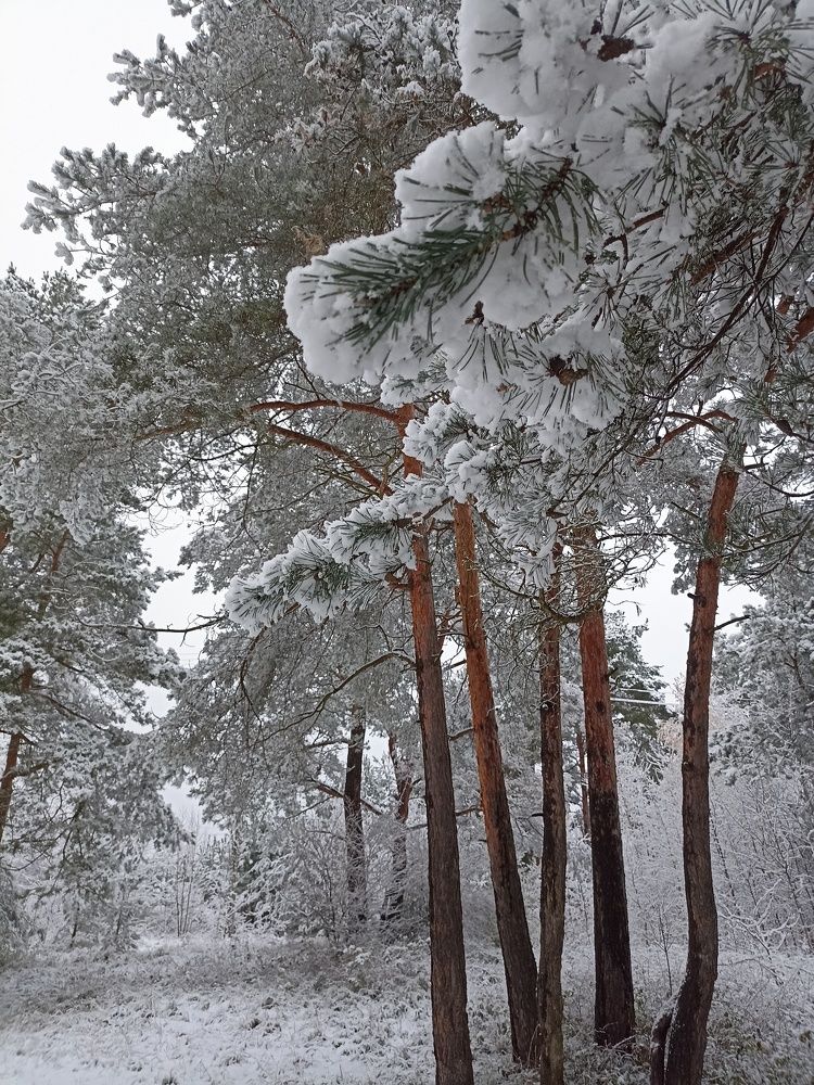 Photograph by Наталья Резванова