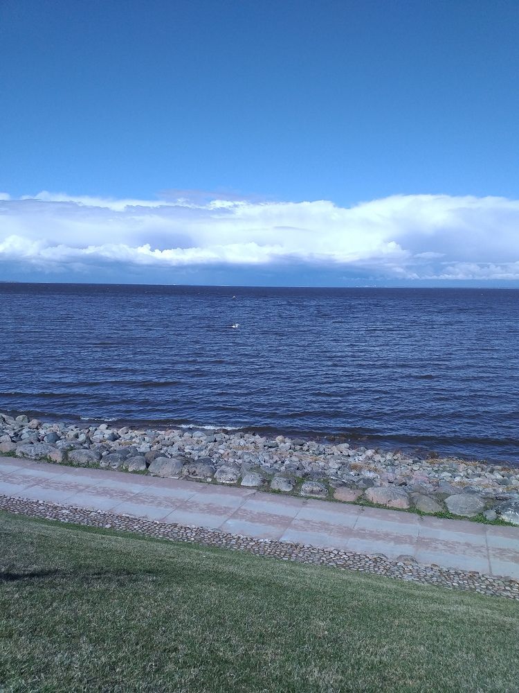 Photo #10407427