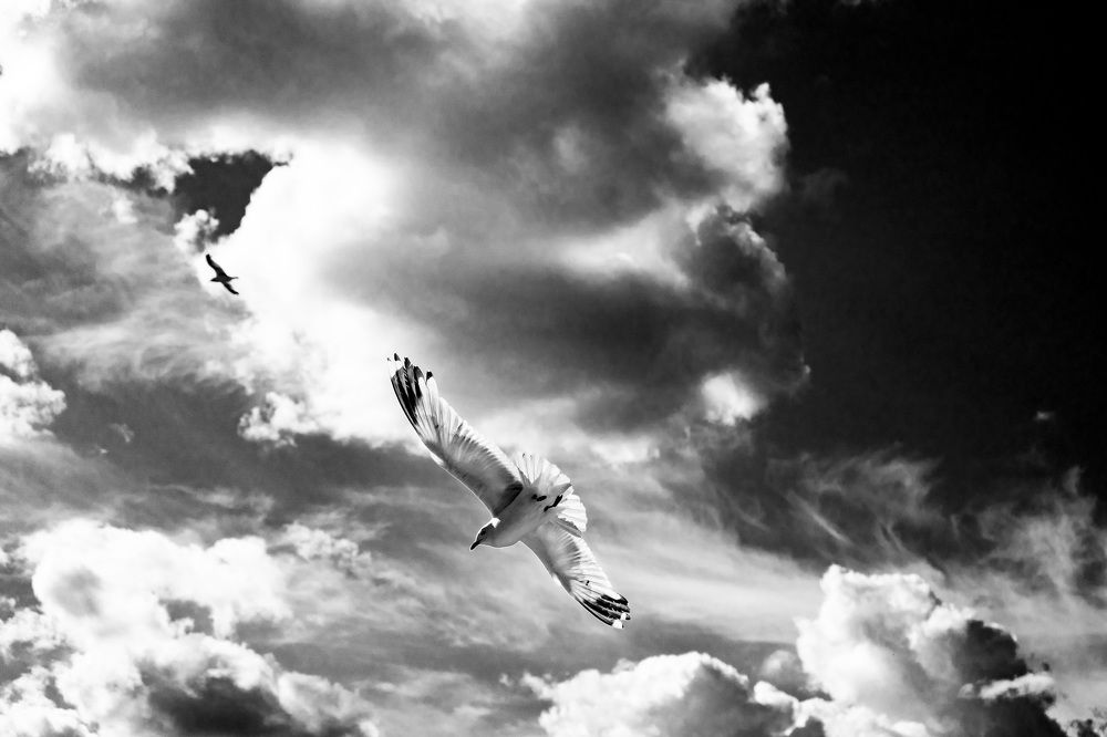 Photograph by Анна Марковская