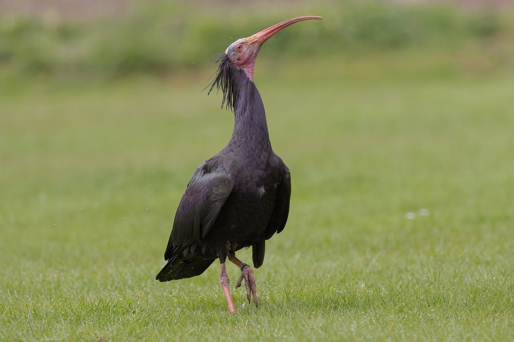 Фотография автора MARIA KULA