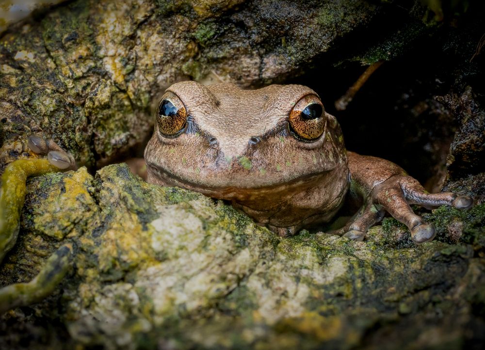 Photograph by María Paula Lozano