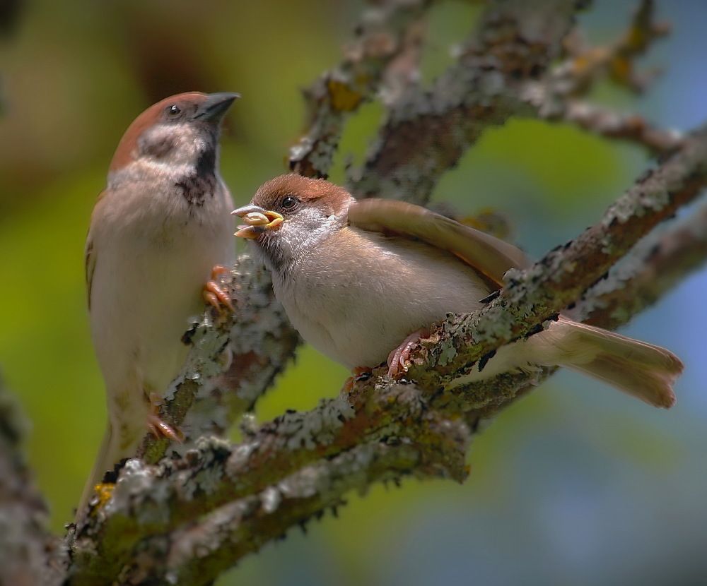 Photograph by Андрей Брагин