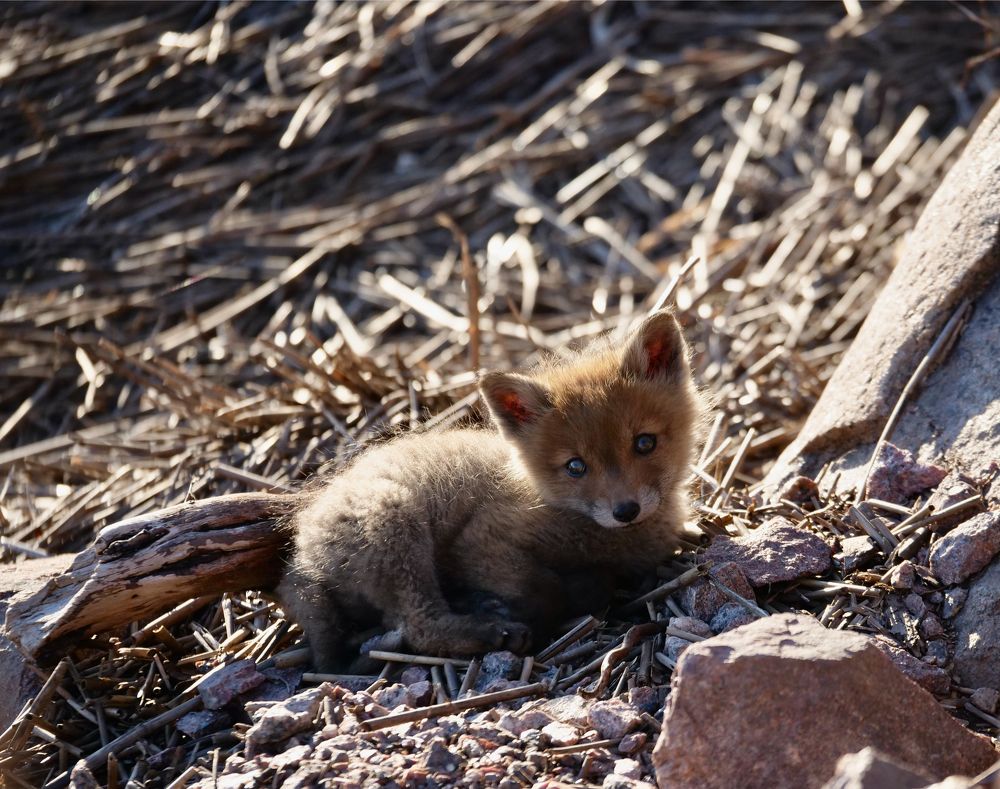 Photograph by Анна Целых