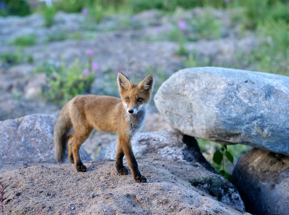 Photograph by Анна Целых