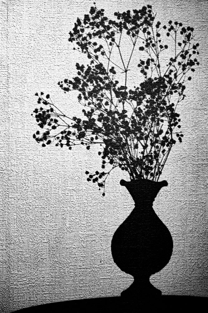 Photograph by Анна Марковская