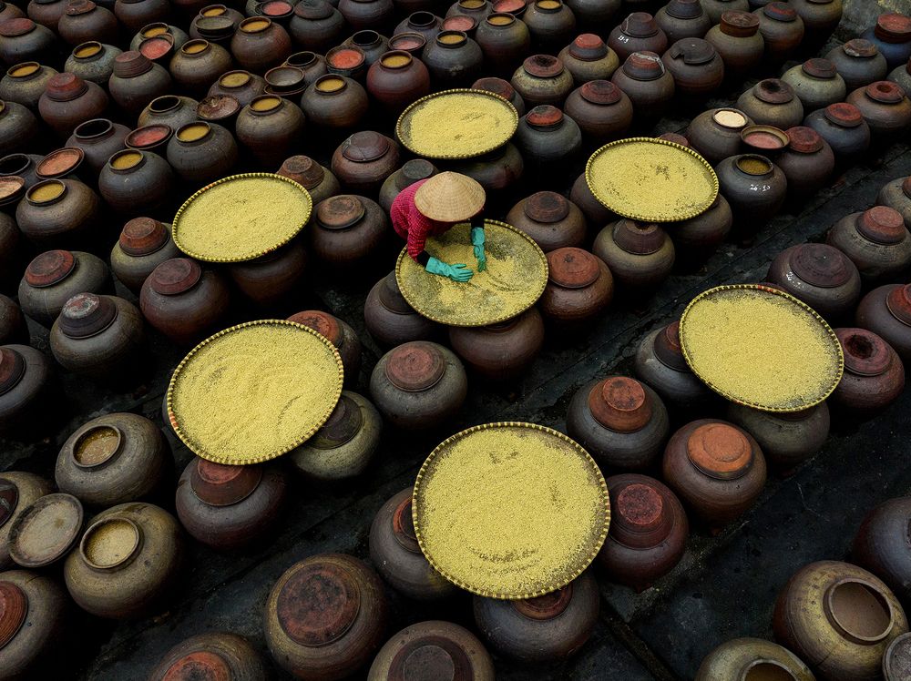 Traditional Soy Sauce making.