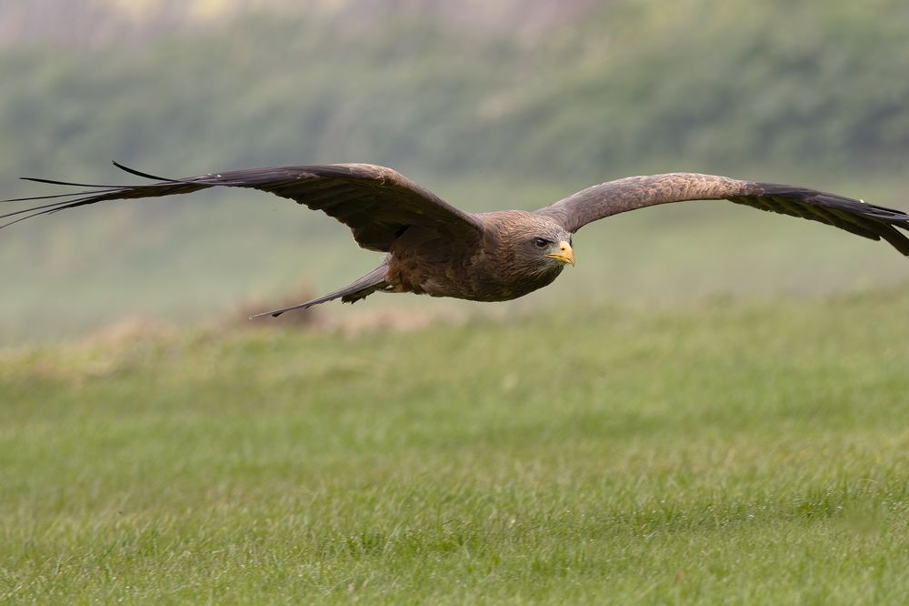 Фотография автора MARIA KULA