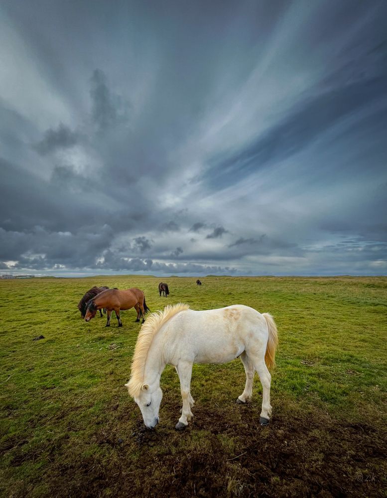 Фотография автора Krisztián Zámbó