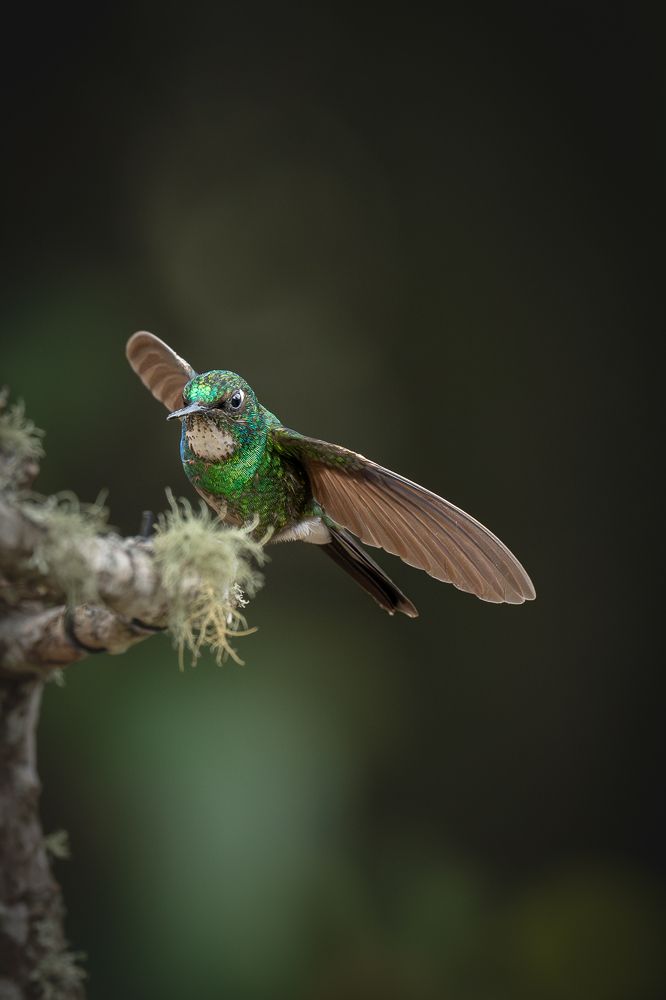 Photograph by María Paula Lozano
