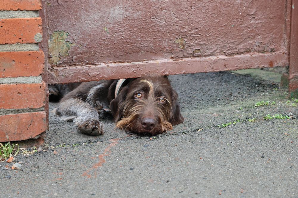 Photograph by Александр Николаев