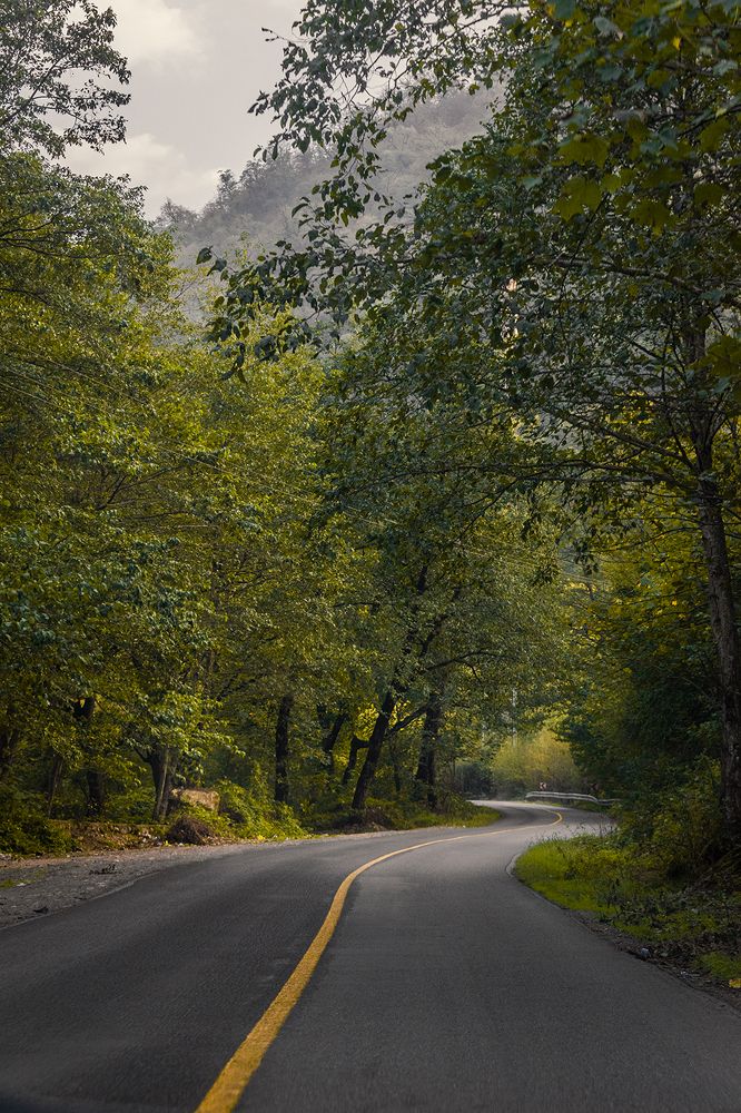 Photograph by Amin Eksiri