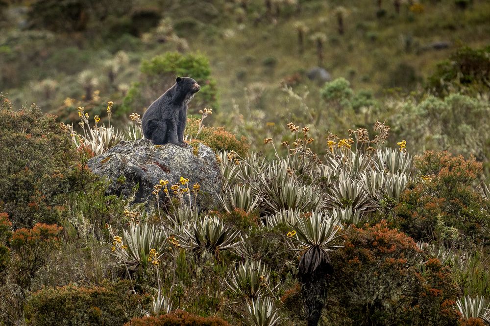 Photograph by María Paula Lozano