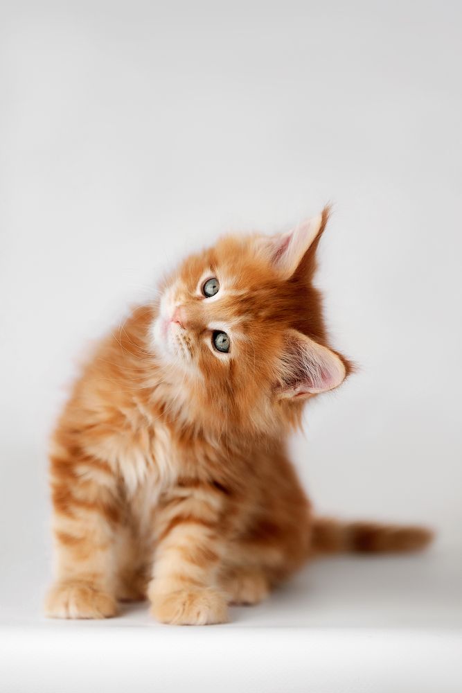 Photograph by Виктория Фоминых