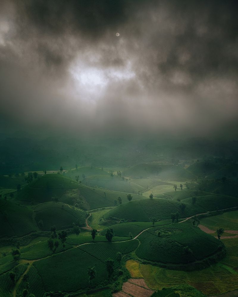 Photograph by Анастасия Сауль