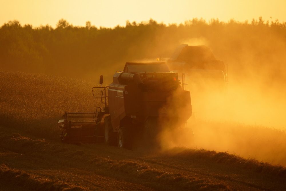 Photograph by Дмитрий Дрозд