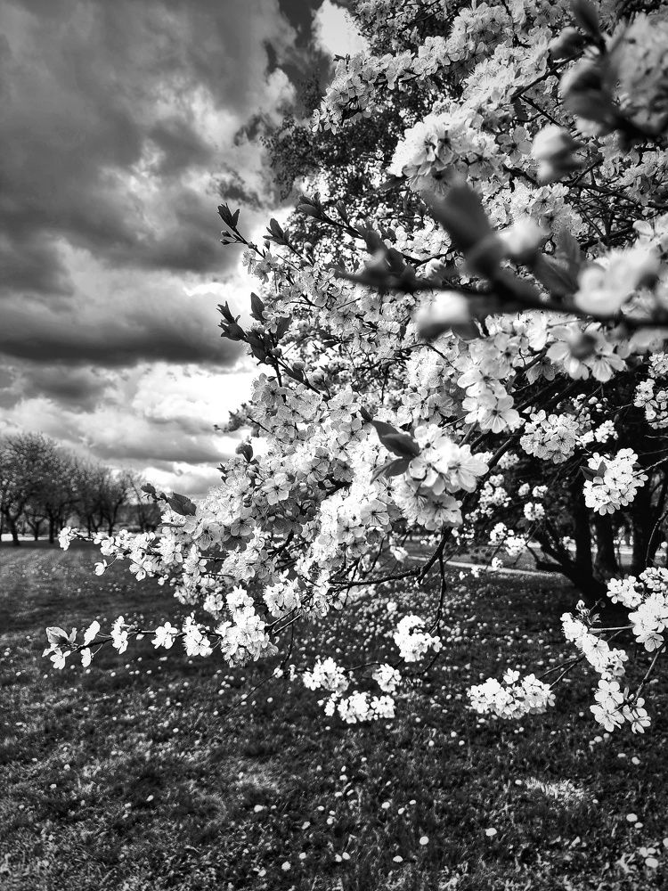 Photograph by Екатерина Цыбулькина