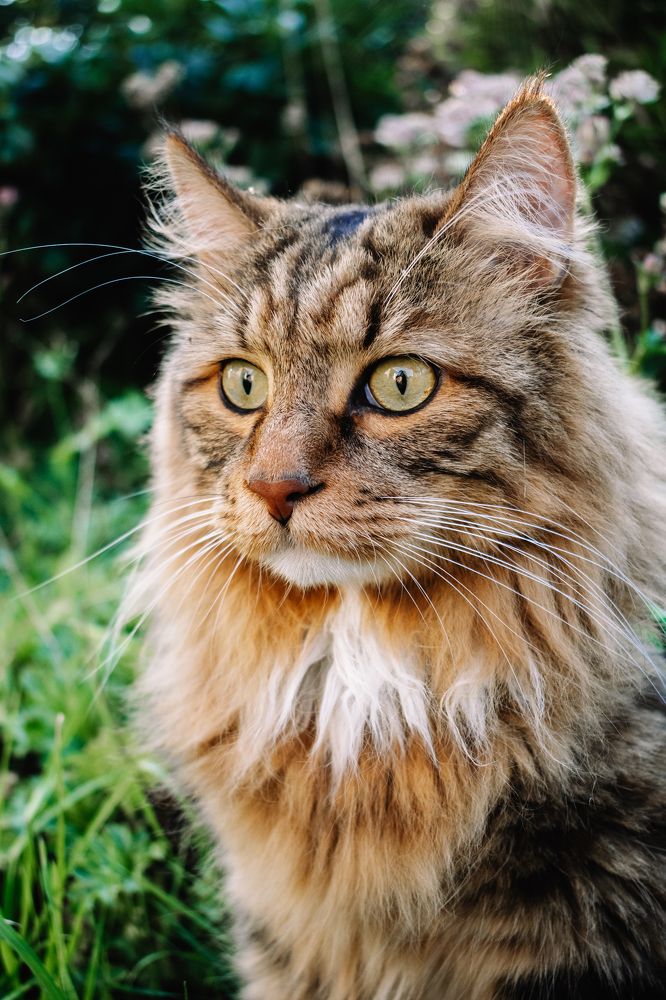 Photograph by Галина Ноздрина