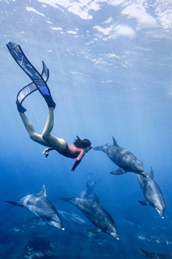 Photograph by Junya Higashi