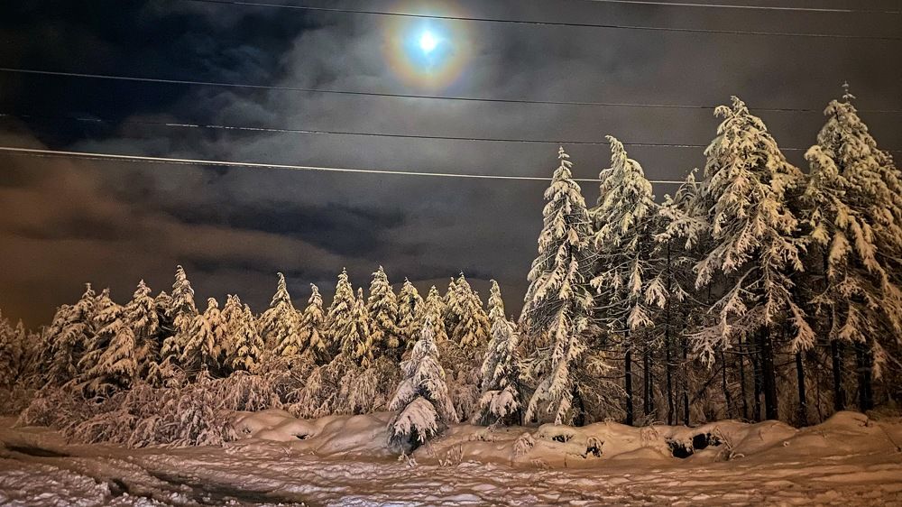 Photograph by Анна Дудко