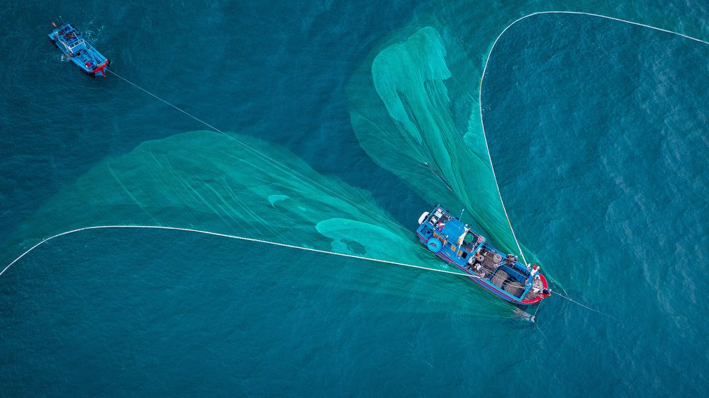 Photograph by Hanh P. T. Pham